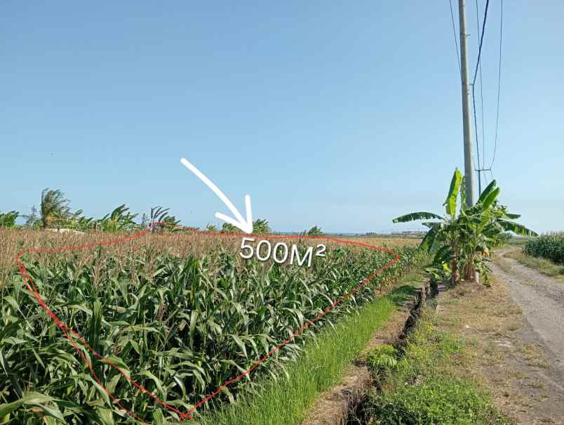 dijual tanah tibubiyu kerambitan