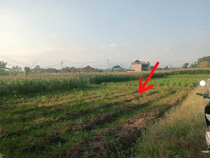 dijual tanah tibubiyu kerambitan