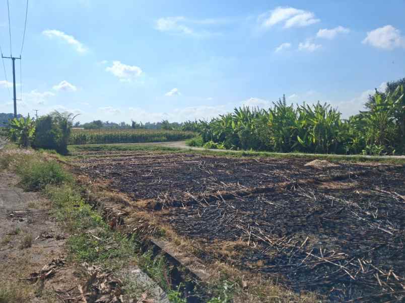 dijual tanah tibubiyu kerambitan