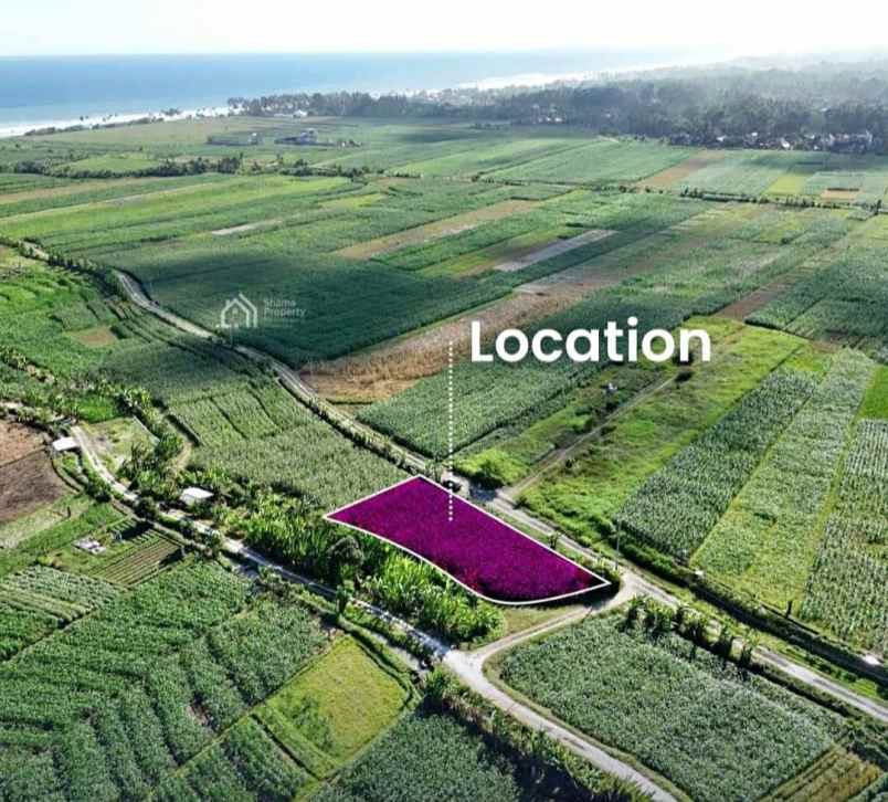 dijual tanah tibubiyu kerambitan