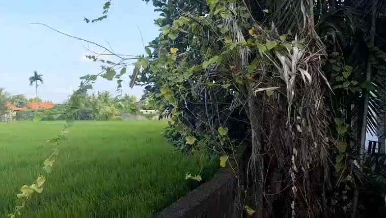 dijual villa komplek vila buruan