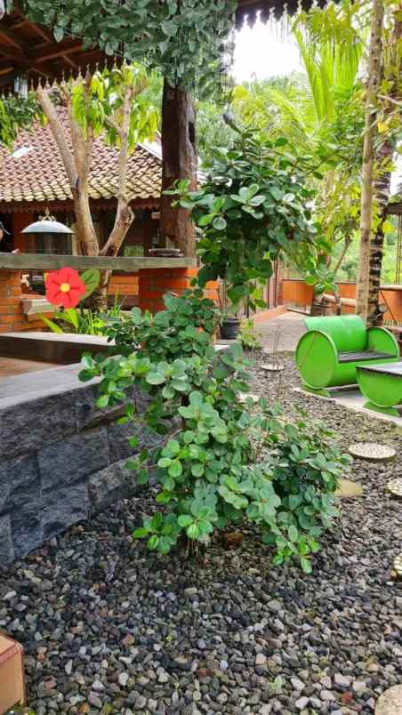 dijual villa moyudan