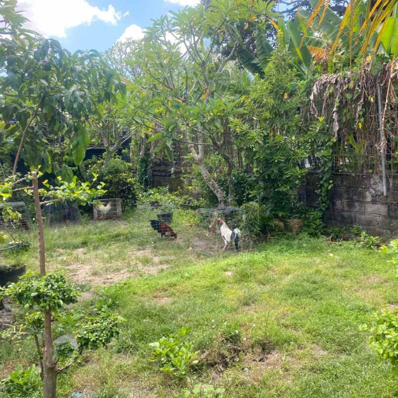 dikontrakan 6 are jl raya pantai pererenan mengwi