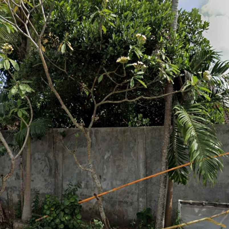 dikontrakan 6 are jl raya pantai pererenan mengwi
