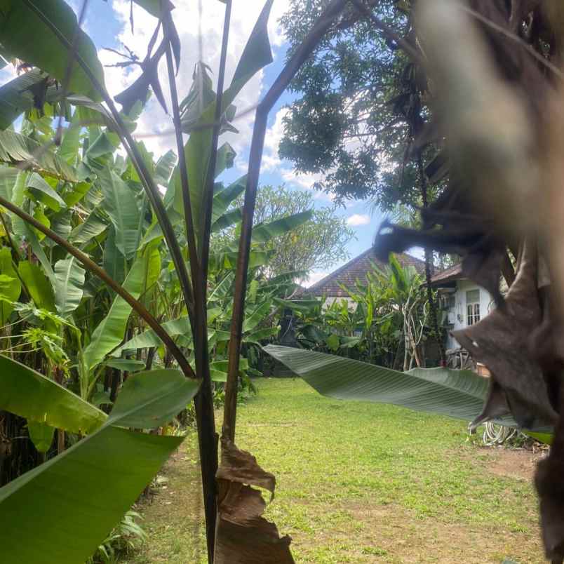 dikontrakan 6 are jl raya pantai pererenan mengwi