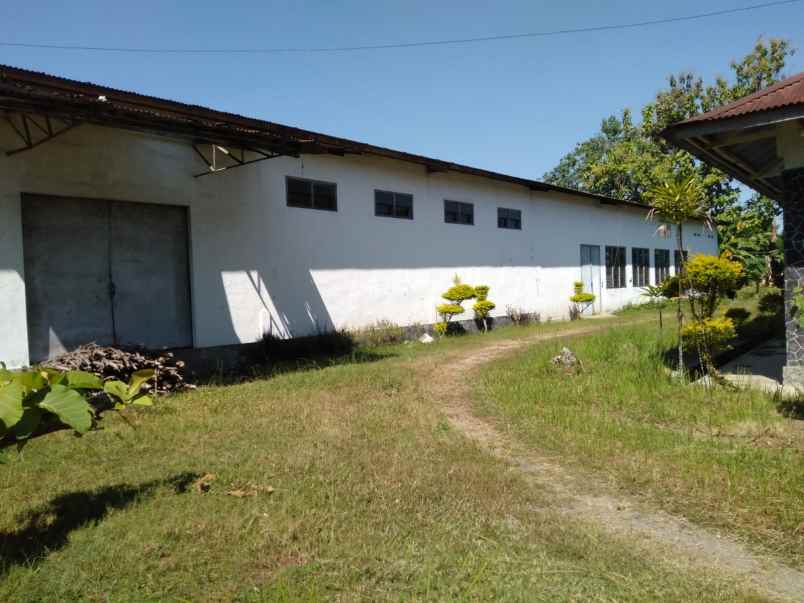 disewakan gudang di jember