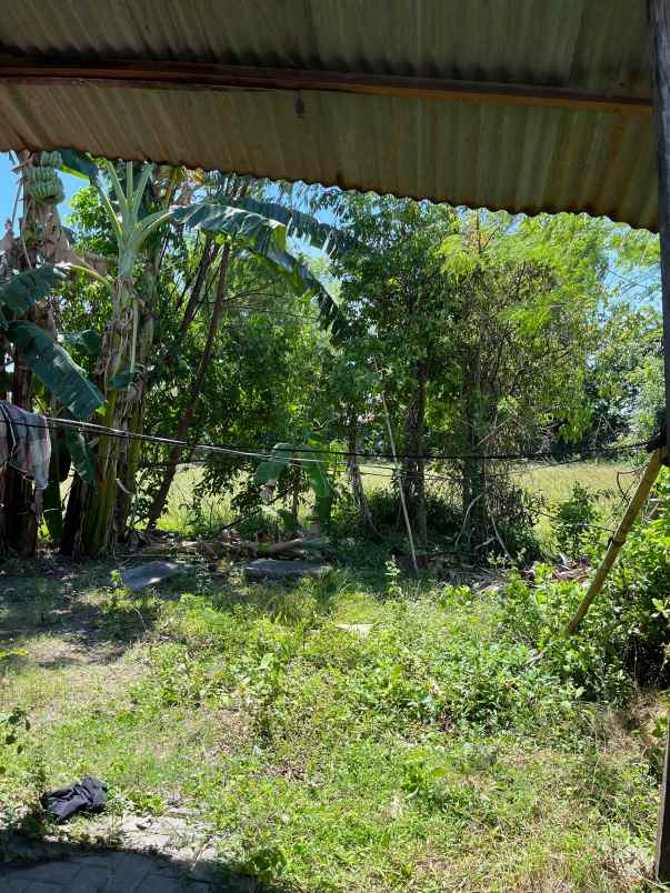 disewakan gudang tanah cocok untuk usaha