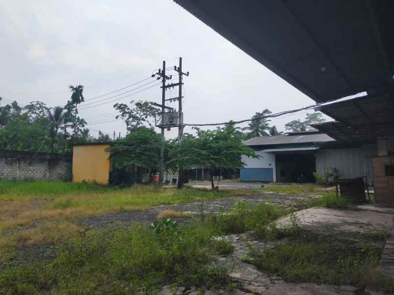 disewakan ruko gudang kantor jalan raya randuagung