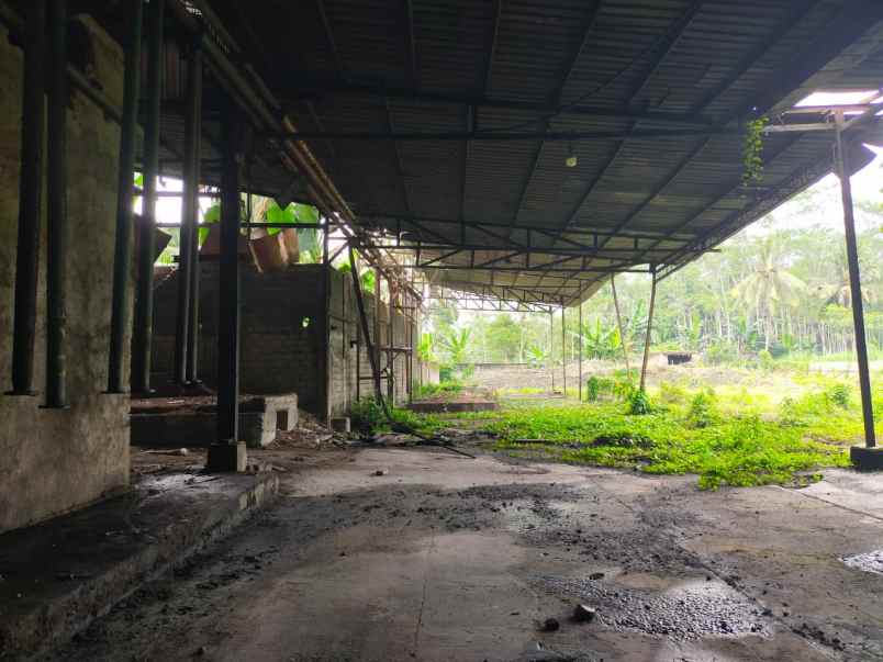 disewakan ruko gudang kantor jalan raya randuagung