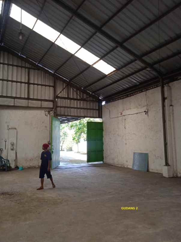 disewakan ruko gudang kantor way laga