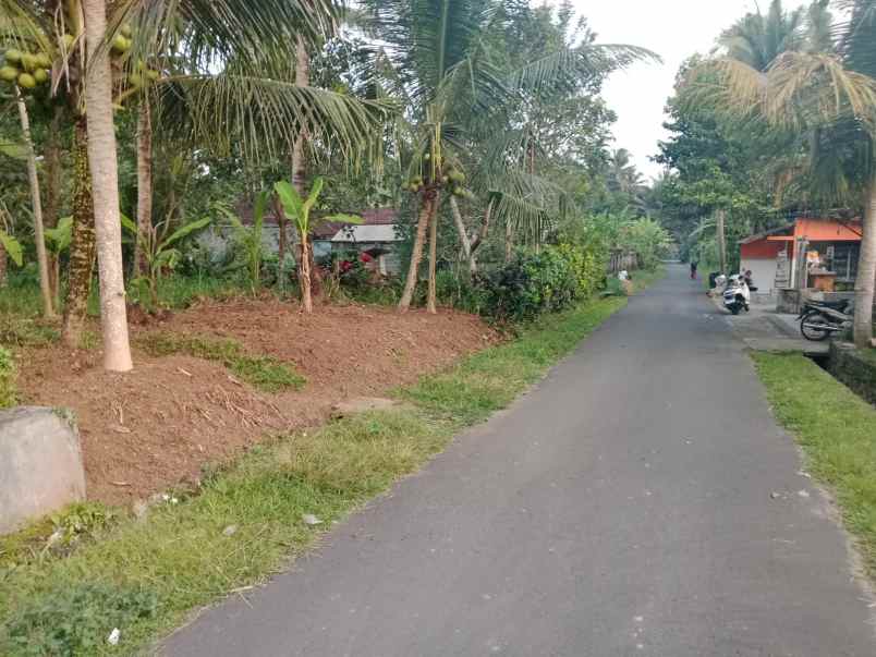 disewakan tanah 43 are di mengwi badung bali
