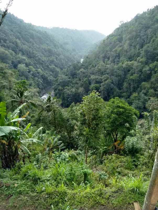 disewakan tanah desa angkah selemadeg