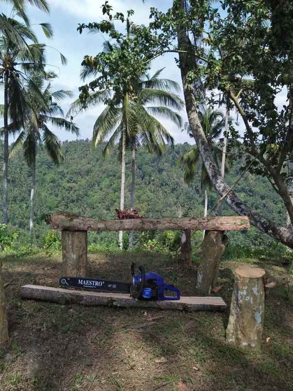 disewakan tanah desa angkah selemadeg