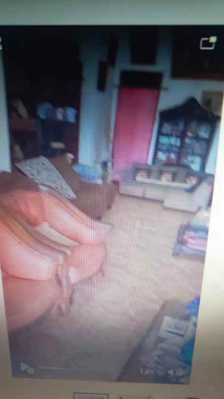 jual dan sewa komplek rumah kost