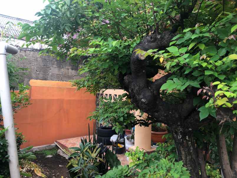 jual dan sewa komplek rumah kost