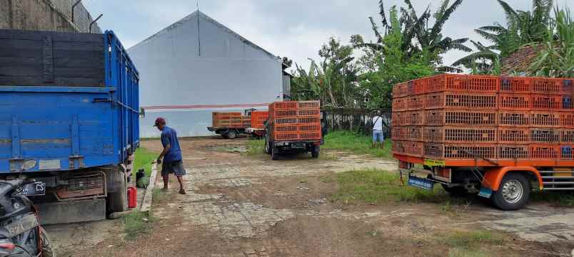 jual kandang ayam model closed house di pati