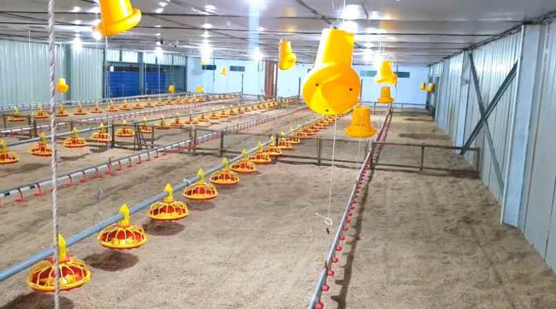 jual kandang ayam model closed house di pati