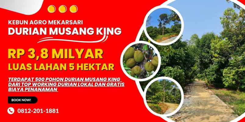 jual kebun durian di bogor