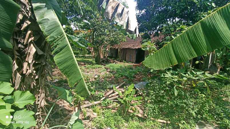 jual tanah di pendem rt 19 sumberlawang sragen