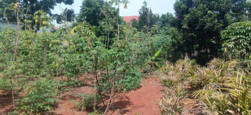 jual tanah kavling di hajamukti cimanggis kota depok