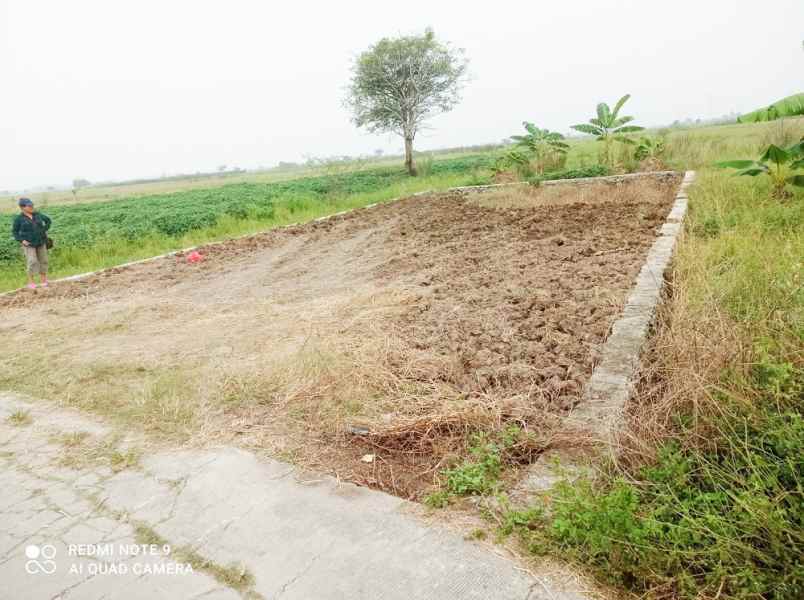 jual tanah kavling murah di sukatenang babelan bekasi