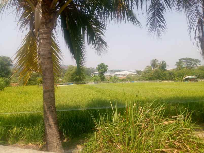 jual tanah komersial untuk pabrik