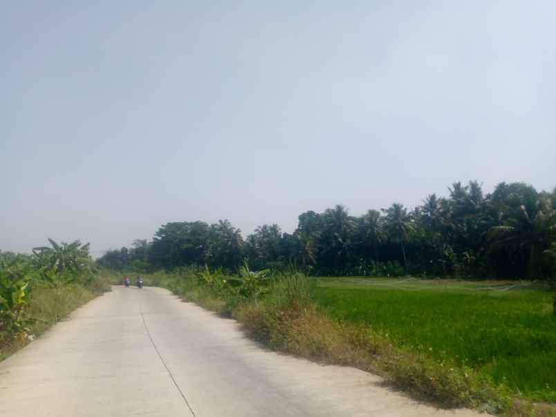 jual tanah komersial untuk pabrik