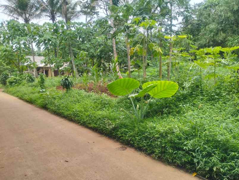 jual tanah nego halus