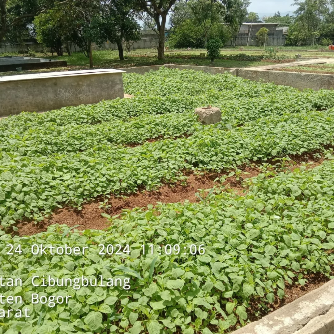 jual tanah plus villa