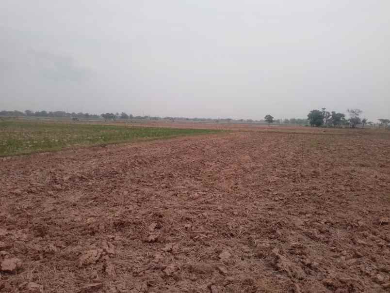 jual tanah sawah produktif