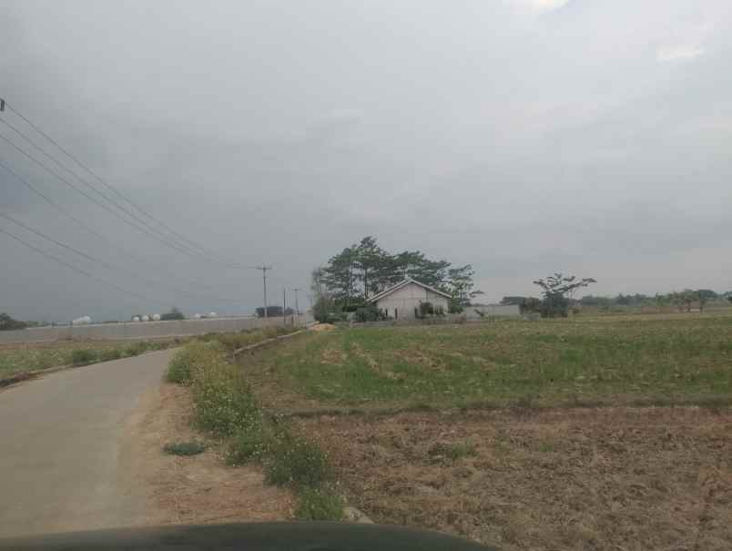 jual tanah sawah produktif