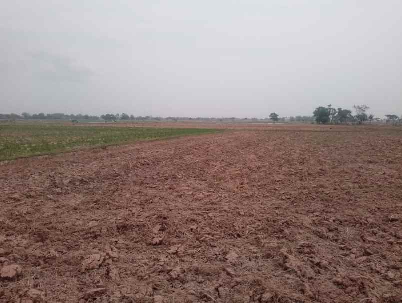 jual tanah sawah produktif