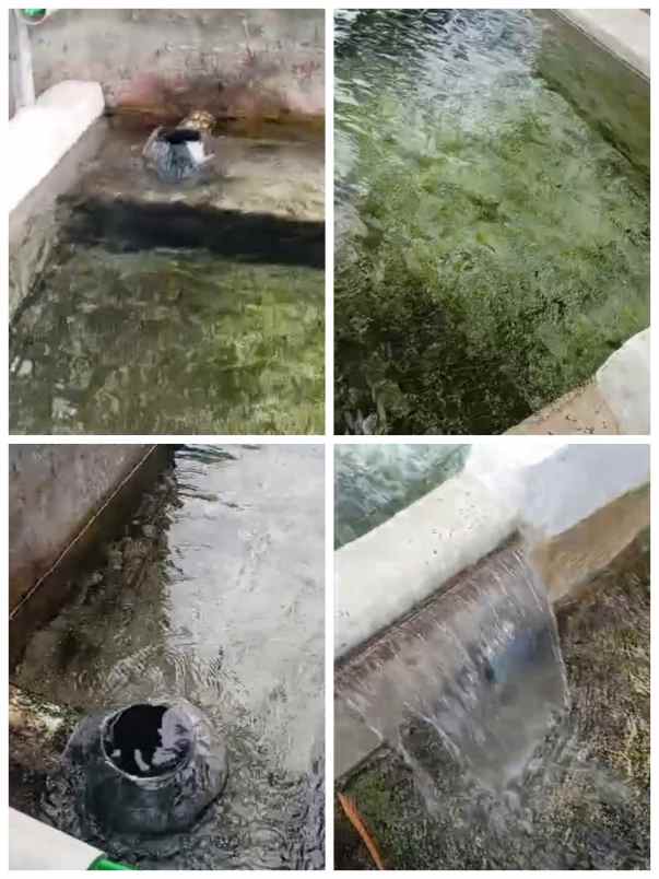 lahan 1 2ha ada sumber air diklaten 500rb m2