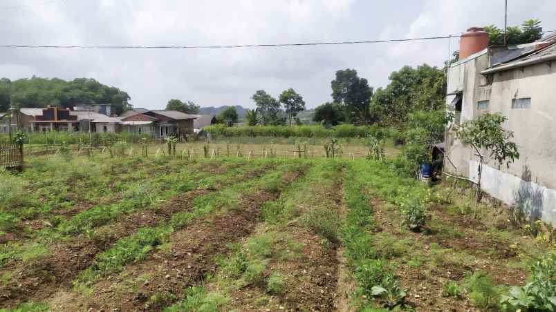 lahan kebun aktif siap bangun lokasi strategis