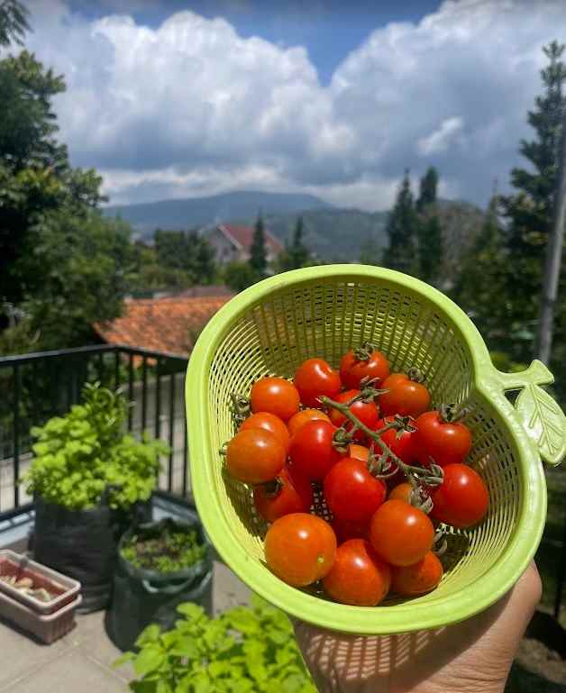 luxury scandinavian style house for sale