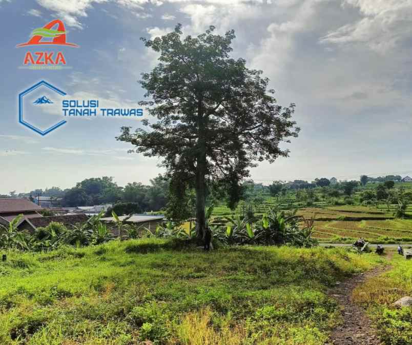 mau rumah di prigen mulai dari tanah sendiri