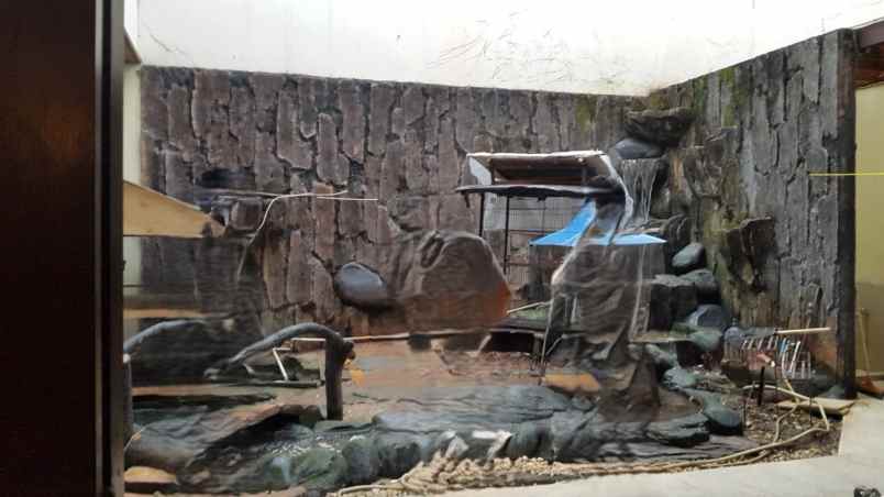 rumah 2 lantai luas 330m type 6kt cakung jakarta timur