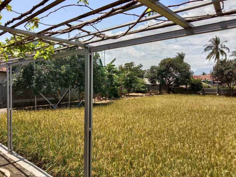 rumah dan tanah murah lokasi pasawahan purwakarta