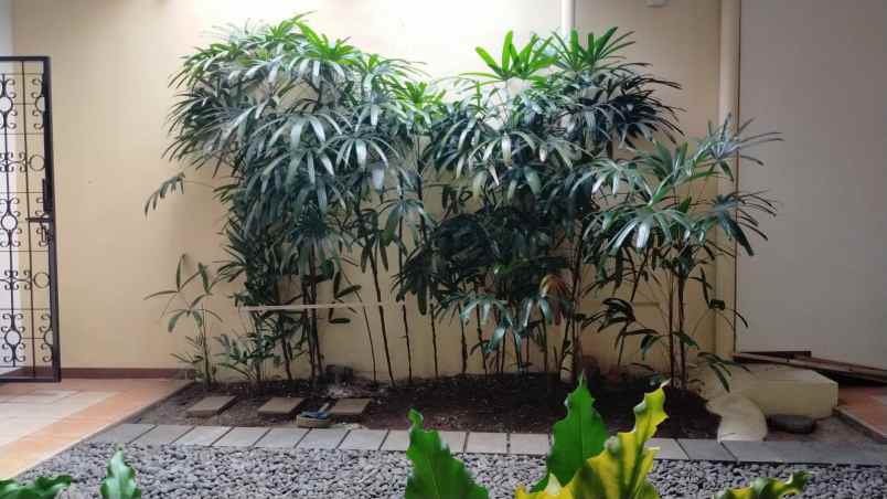 rumah disewakan di pejaten barat
