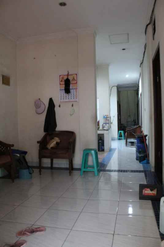 rumah kelapa hybrida kelapa gading