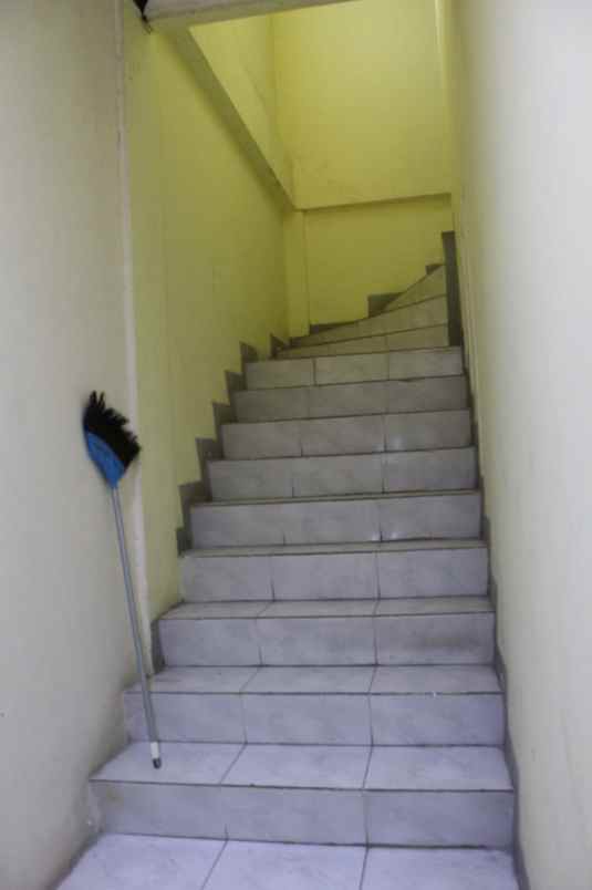 rumah kelapa hybrida kelapa gading