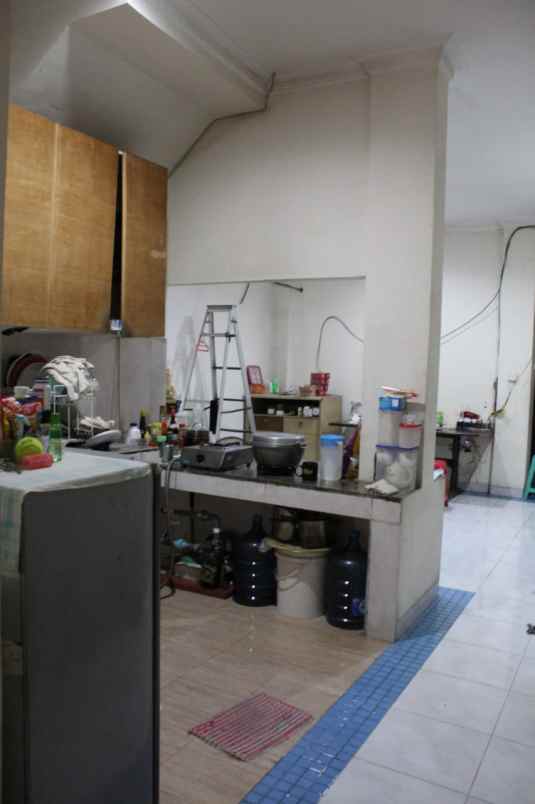 rumah kelapa hybrida kelapa gading