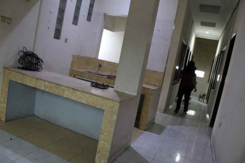 rumah kelapa hybrida kelapa gading