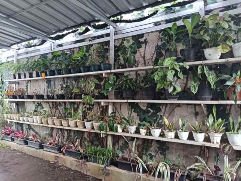 rumah strategis gegerkalong 6 kt cocok kost shm nego