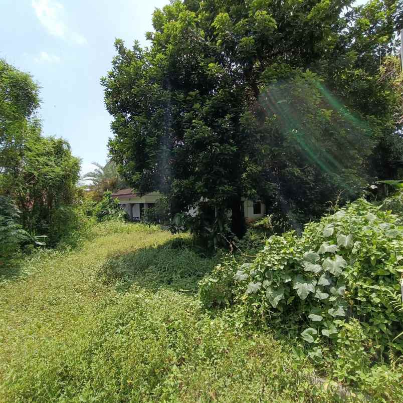 super urgent dijual jauh dibawah harga pasar