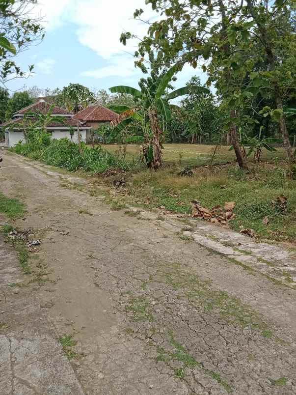 tanah asri tengah kampung