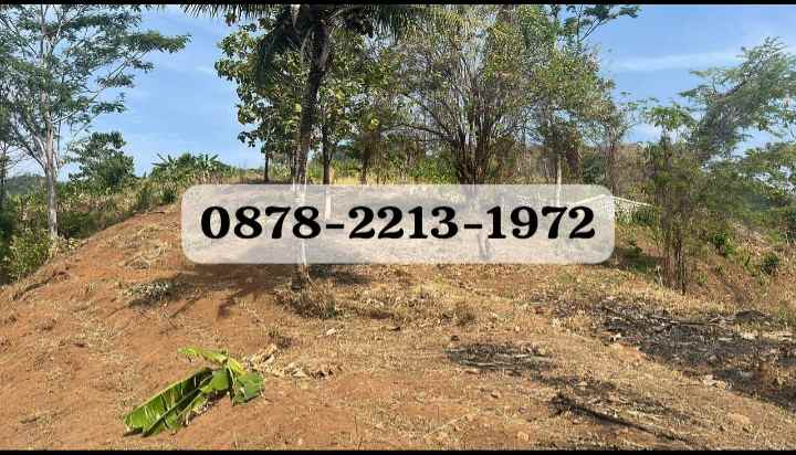 tanah bagus untuk hotel di pelabuham ratu sukabumi