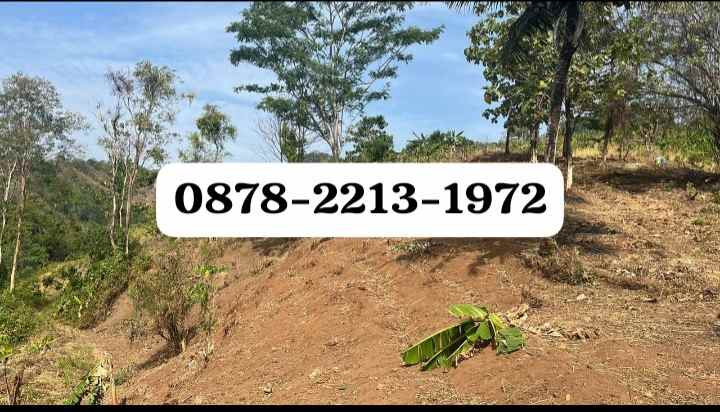 tanah bagus untuk hotel di pelabuham ratu sukabumi