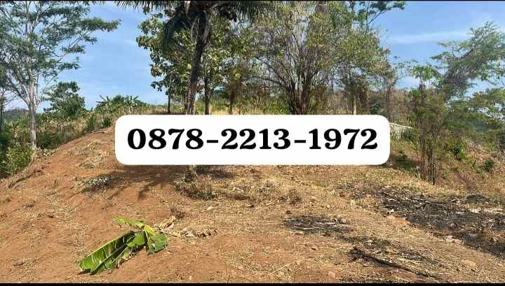 tanah bagus untuk hotel di pelabuham ratu sukabumi