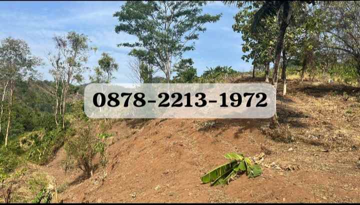 tanah bagus untuk hotel di pelabuham ratu sukabumi